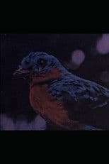 Retrato de Villa-Lobos