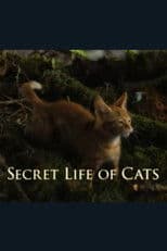 The Secret Life of Cats