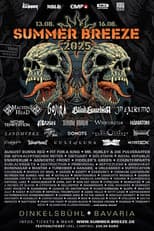 In Extremo: Live at Summer Breeze 2025