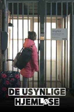 De usynlige hjemløse