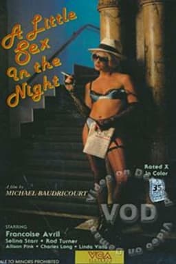 A Little Sex In The Night