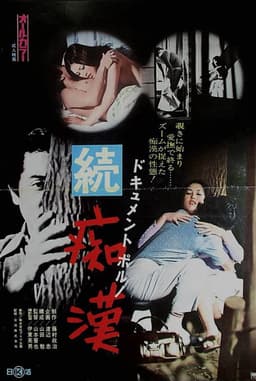 Dokyumento poruno: Zoku chikan