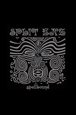 Split Enz: Spellbound