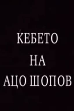 The Blanket of Aco Shopov