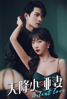 The Silent Wife Sent from Heaven