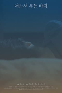 The Consolation of the Wind