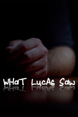 What Lucas Saw