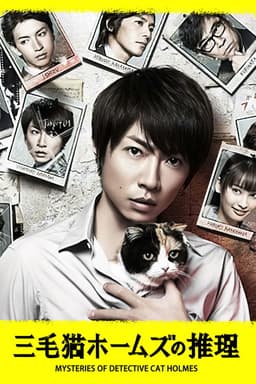 Mysteries of Detective Cat HOLMES