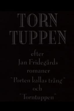 Torntuppen