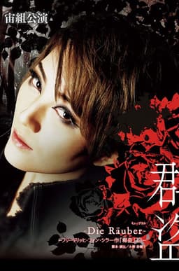 The Robbers -Die Räuber-