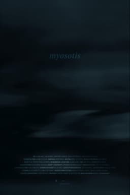 Myosotis