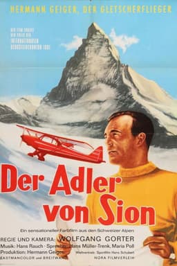 Der Adler von Sion