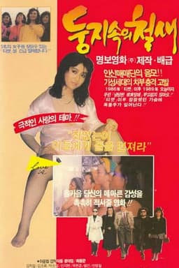 A Migrant Bird in a Nest