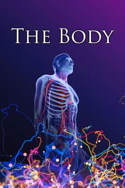 The Body