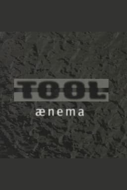 TOOL - Ænima