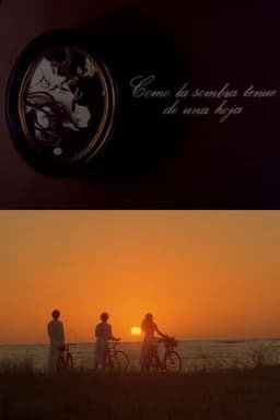 Como la sombra tenue de una hoja