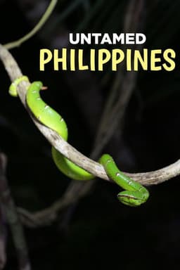 Untamed Philippines