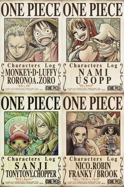 One Piece Characters Log