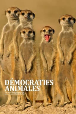 Démocraties animales