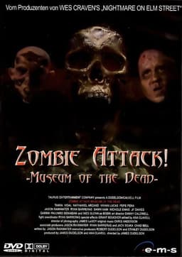 Zombie Attack: Museum of the Dead