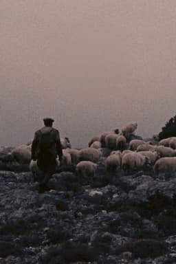 Orgosolo’s Shepherds