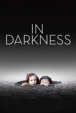 In Darkness