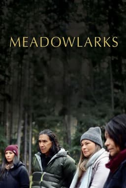 Meadowlarks