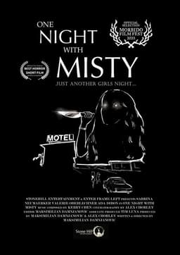 One Night with Misty