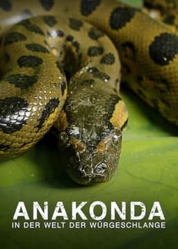 Anaconda: Silent Killer