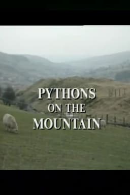 Pythons on the Mountain