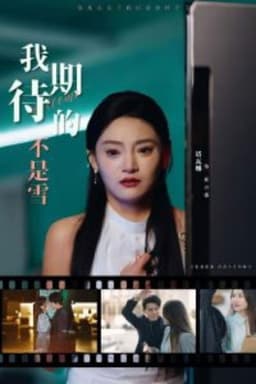 我期待的不是雪