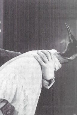 To Brighton with Gladys