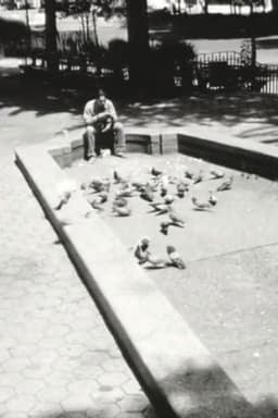 Angels Watching Over Me