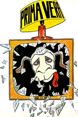 Prima Vera: Det er Norge som er bra