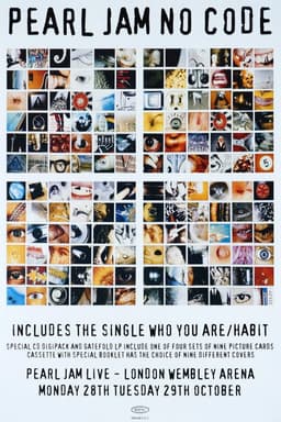 Pearl Jam: Moline 2014 - The No Code Show [BTNV]