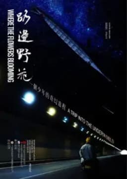 Where The Flowers Blooming