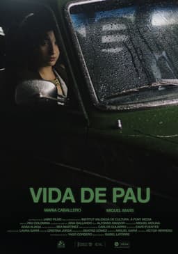 Vida de pau