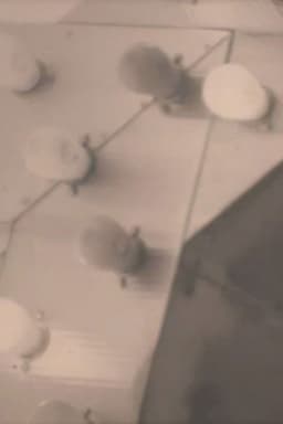 Notes on the Buffalo Conference: “Autobiography in American Independent Cinema”