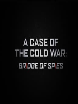 A Case of the Cold War: Bridge of Spies
