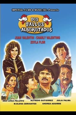 Dos gallos alborotados