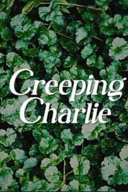 Creeping Charlie