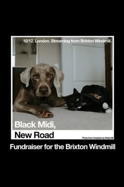 Black Midi, New Road: 'Live at The Windmill, Brixton.'