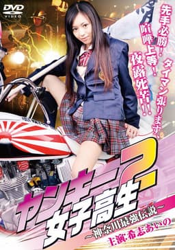 Yankee High School Girl 2 ~Kanagawa Legend~