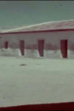 A Flor do Lácio é vadia