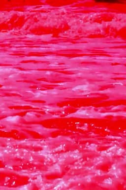 -Pursuit.Bracmano.: Fate Entrare le Formiche!