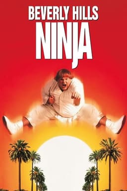 Beverly Hills Ninja