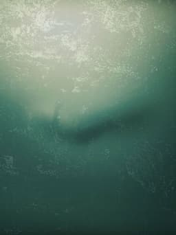 I Don't Want to Walk Alone