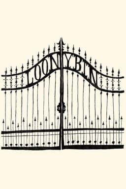 Loony Bin