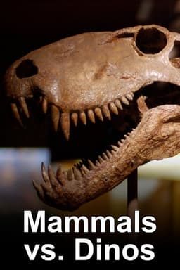 Mammals Vs. Dinos