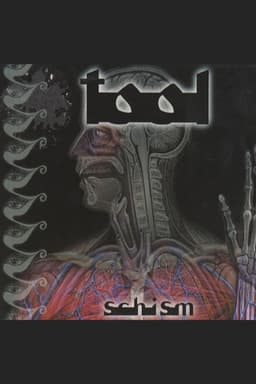 TOOL - Schism